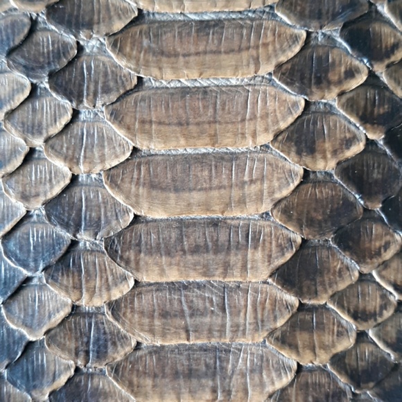 Python cross body bag - Picture 4 of 6